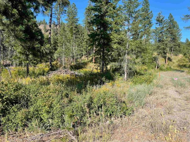 NKN Bead Lake Road Rd, Newport, WA 99156