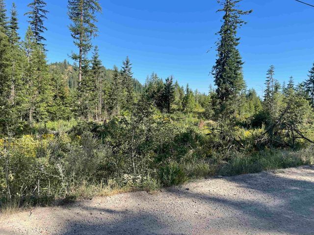 NKN Bead Lake Road Rd, Newport, WA 99156