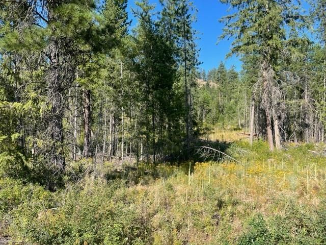 NKN Bead Lake Road Rd, Newport, WA 99156