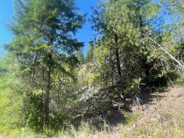 NKN Bead Lake Road Rd, Newport, WA 99156