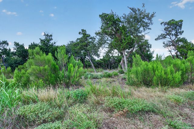 1466 Chianti, New Braunfels, TX 78132