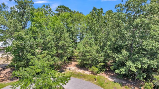 94 Lady Banks Lane, Hollywood, SC 29470