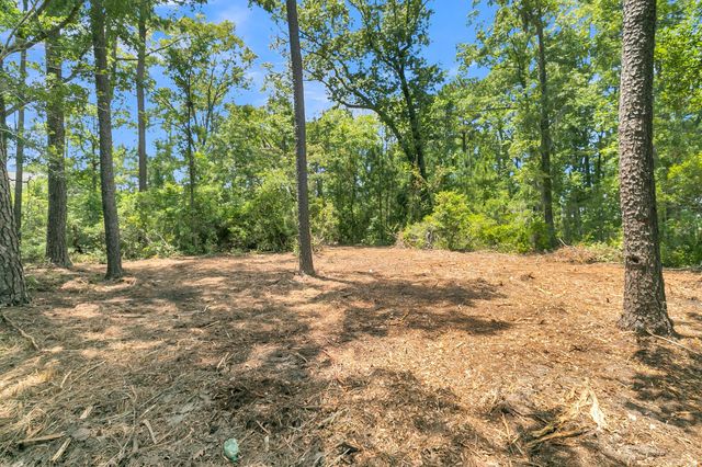 94 Lady Banks Lane, Hollywood, SC 29470