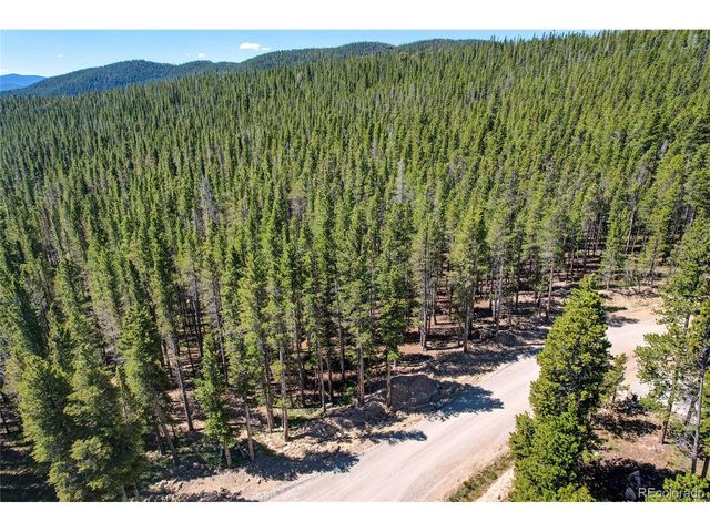 172 Lower Forest Rd, Idaho Springs, CO 80452