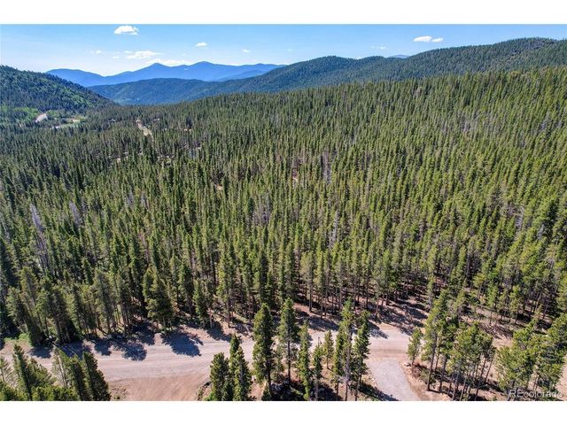 172 Lower Forest Rd, Idaho Springs, CO 80452
