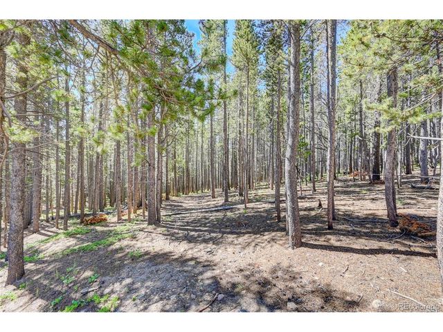 172 Lower Forest Rd, Idaho Springs, CO 80452