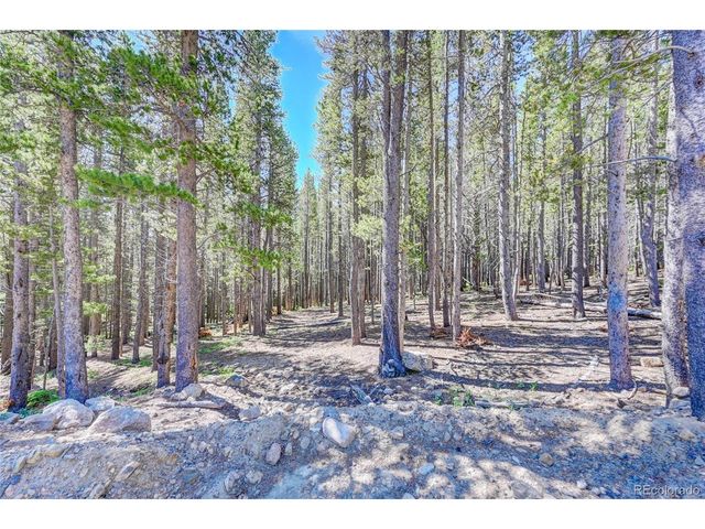 172 Lower Forest Rd, Idaho Springs, CO 80452