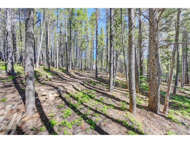 172 Lower Forest Rd, Idaho Springs, CO 80452