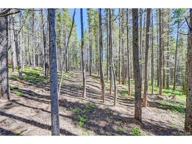172 Lower Forest Rd, Idaho Springs, CO 80452