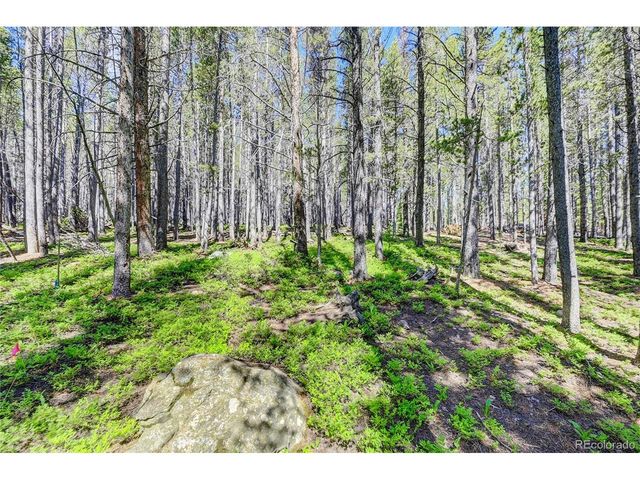172 Lower Forest Rd, Idaho Springs, CO 80452
