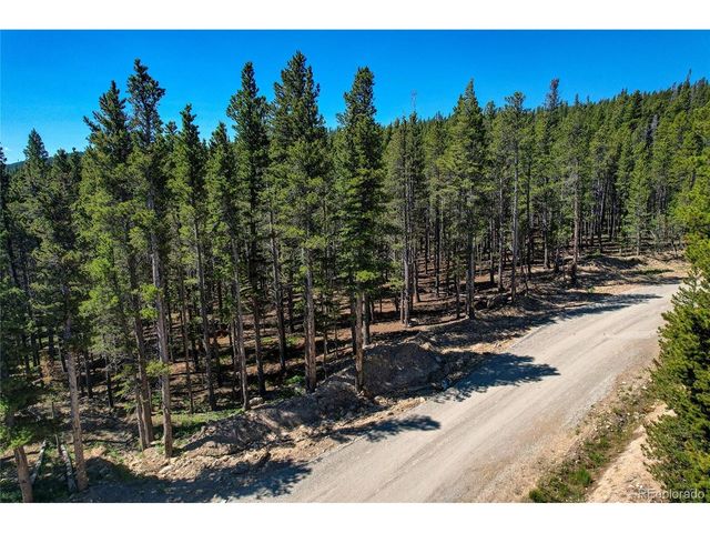 172 Lower Forest Rd, Idaho Springs, CO 80452