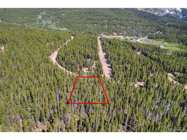 172 Lower Forest Rd, Idaho Springs, CO 80452