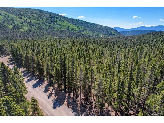 172 Lower Forest Rd, Idaho Springs, CO 80452