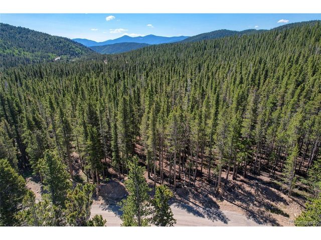 172 Lower Forest Rd, Idaho Springs, CO 80452