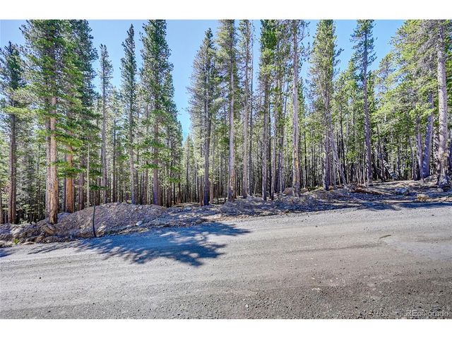 172 Lower Forest Rd, Idaho Springs, CO 80452