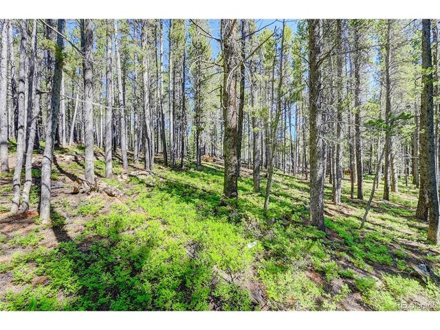 172 Lower Forest Rd, Idaho Springs, CO 80452