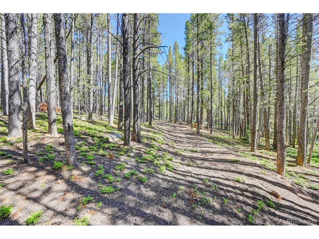 172 Lower Forest Rd, Idaho Springs, CO 80452