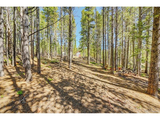 172 Lower Forest Rd, Idaho Springs, CO 80452