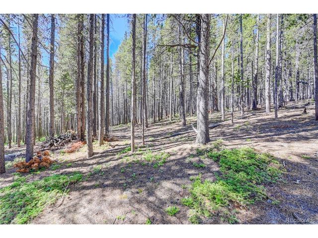 172 Lower Forest Rd, Idaho Springs, CO 80452