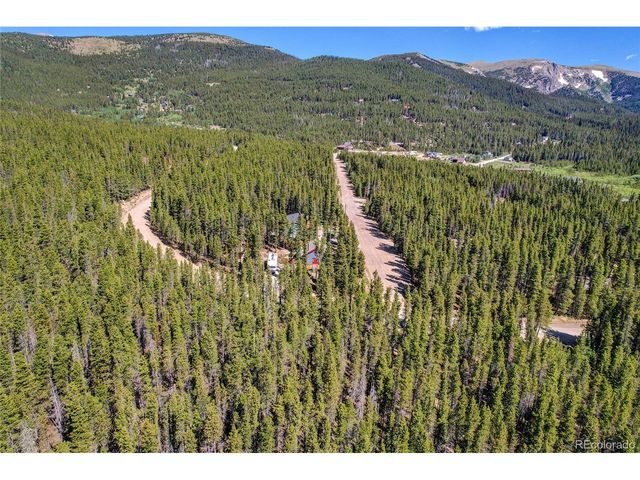 172 Lower Forest Rd, Idaho Springs, CO 80452