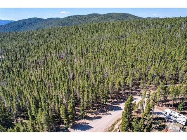 172 Lower Forest Rd, Idaho Springs, CO 80452