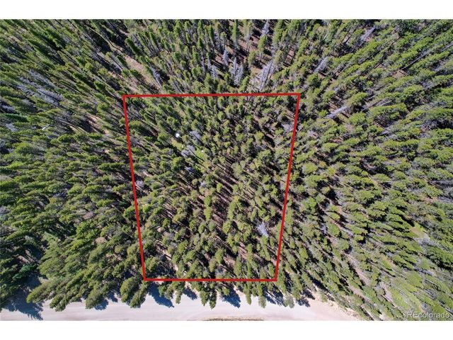 172 Lower Forest Rd, Idaho Springs, CO 80452