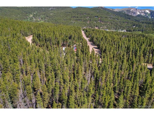 172 Lower Forest Rd, Idaho Springs, CO 80452