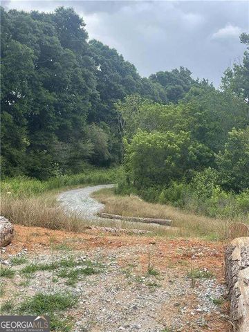 8865 McKaskey Lane, Ball Ground, GA 30107
