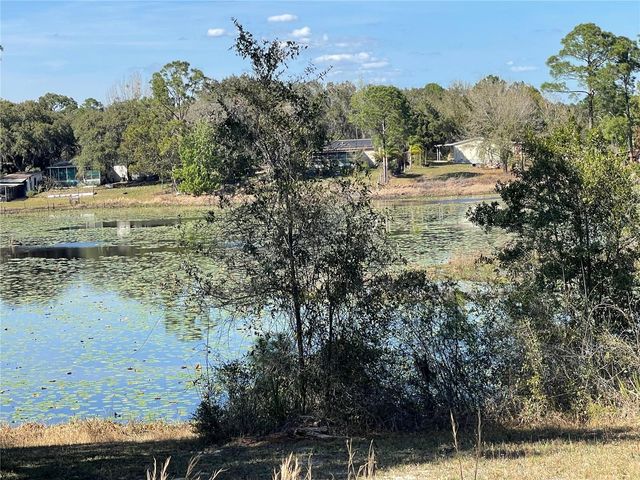 31725 SPRUCE DRIVE, Eustis, FL 32736