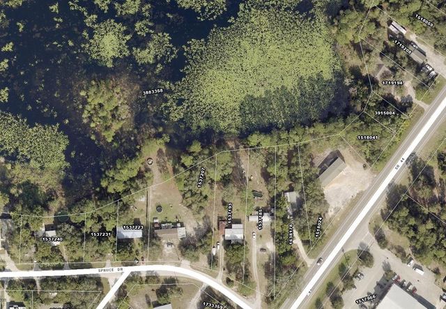 31725 SPRUCE DRIVE, Eustis, FL 32736