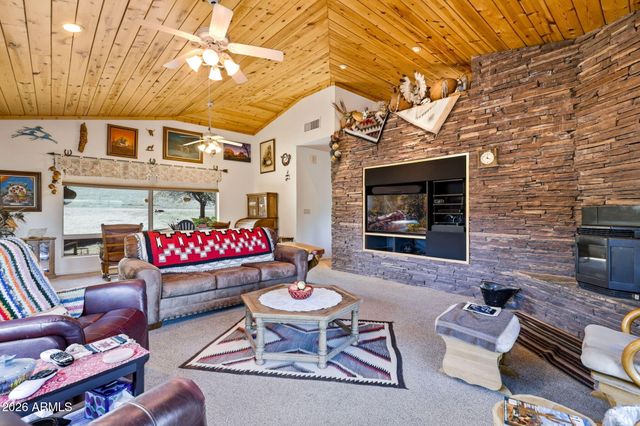 133 S MULE TRACK Road, Young, AZ 85554