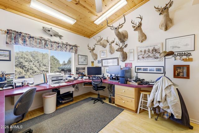 133 S MULE TRACK Road, Young, AZ 85554