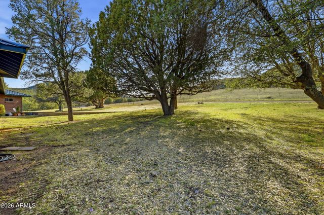 133 S MULE TRACK Road, Young, AZ 85554