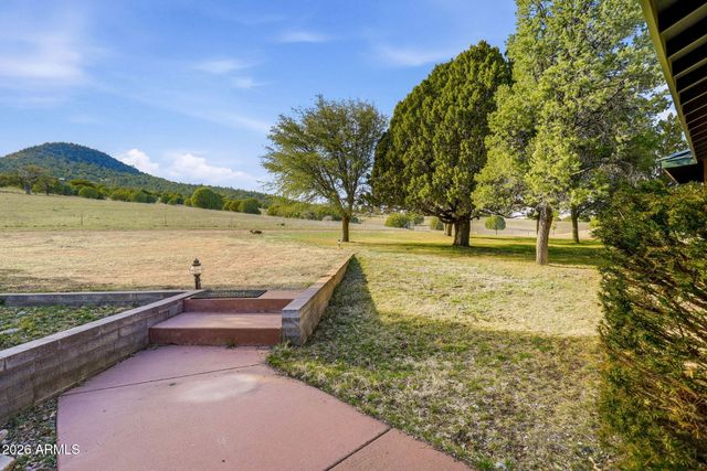 133 S MULE TRACK Road, Young, AZ 85554