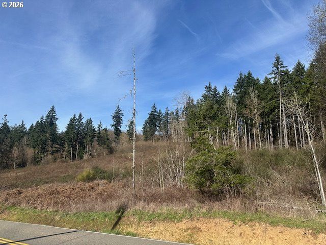 0 Ne Jenny Creek Road, La Center, WA 98629