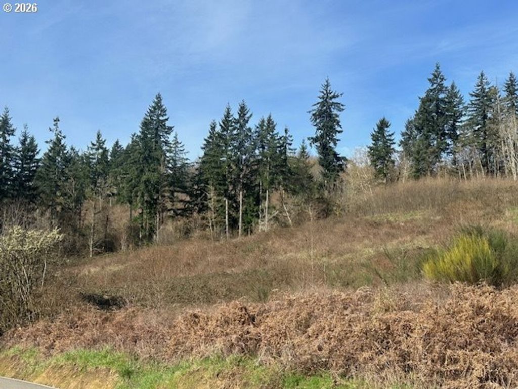 0 Ne Jenny Creek Road, La Center, WA 98629
