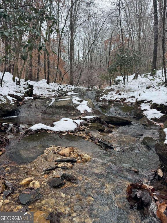 #17 Lone Bear Path, Dallas, GA 30132 — photo 2