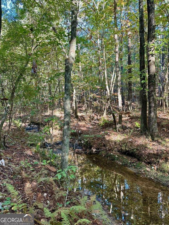 #17 Lone Bear Path, Dallas, GA 30132 — photo 3