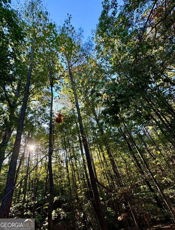 #17 Lone Bear Path, Dallas, GA 30132 — photo 4