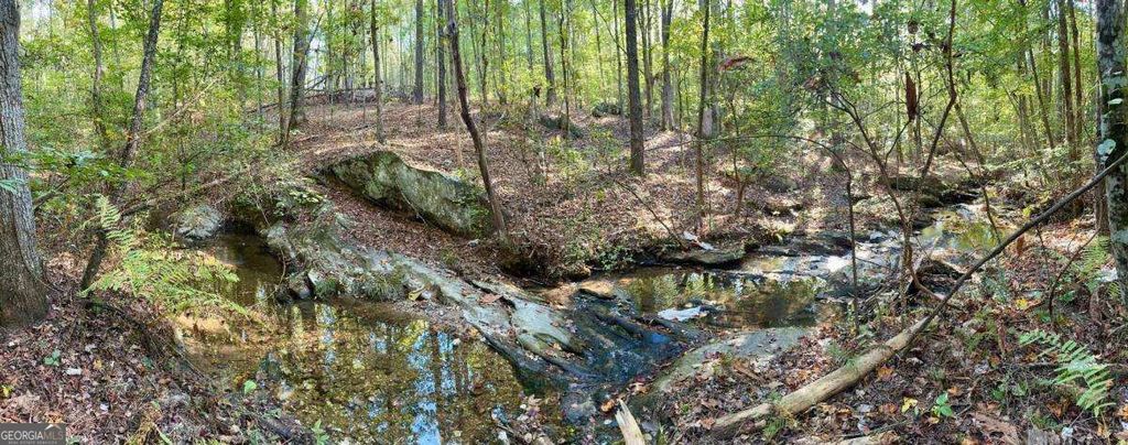 #17 Lone Bear Path, Dallas, GA 30132 — photo 5