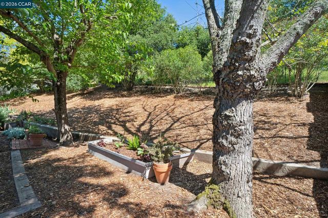 169 Natalie Dr, Moraga, CA 94556