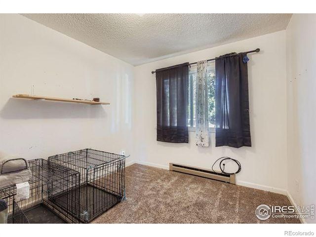 3740 Tyler Avenue, Wellington, CO 80549