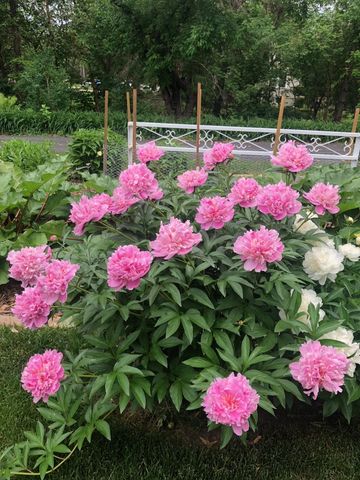 2998 Burnside Avenue, Eagan, MN 55121