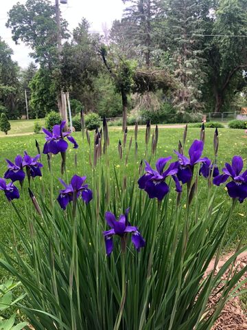 2998 Burnside Avenue, Eagan, MN 55121