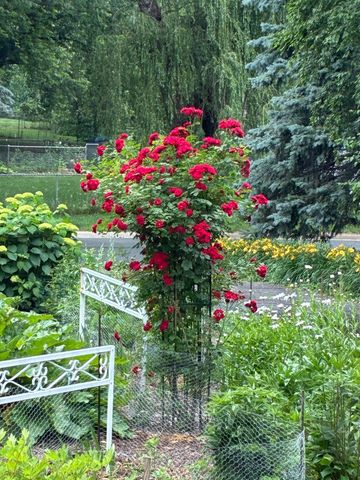 2998 Burnside Avenue, Eagan, MN 55121