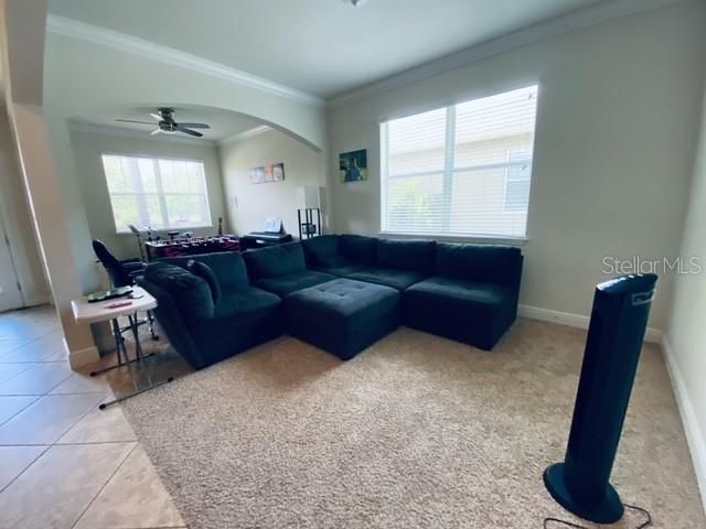 3124 MAJESTIC VIEW DRIVE, Lutz, FL 33558