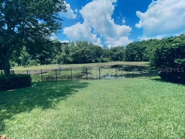 3124 MAJESTIC VIEW DRIVE, Lutz, FL 33558
