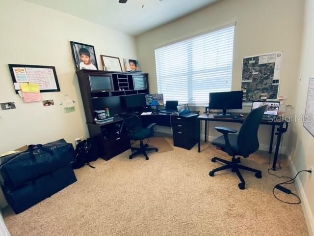 3124 MAJESTIC VIEW DRIVE, Lutz, FL 33558