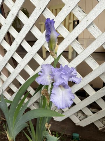 7055 Mccomber St, Sacramento, CA 95828