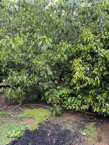 7055 Mccomber St, Sacramento, CA 95828